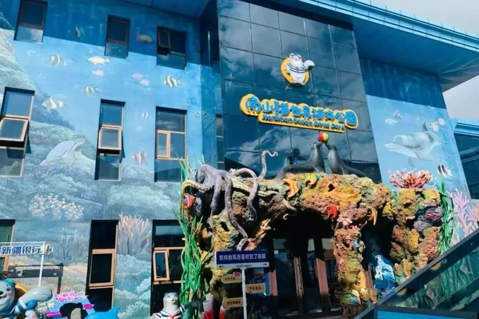 如何通过在线平台找到可靠的篮球辅导资源_0